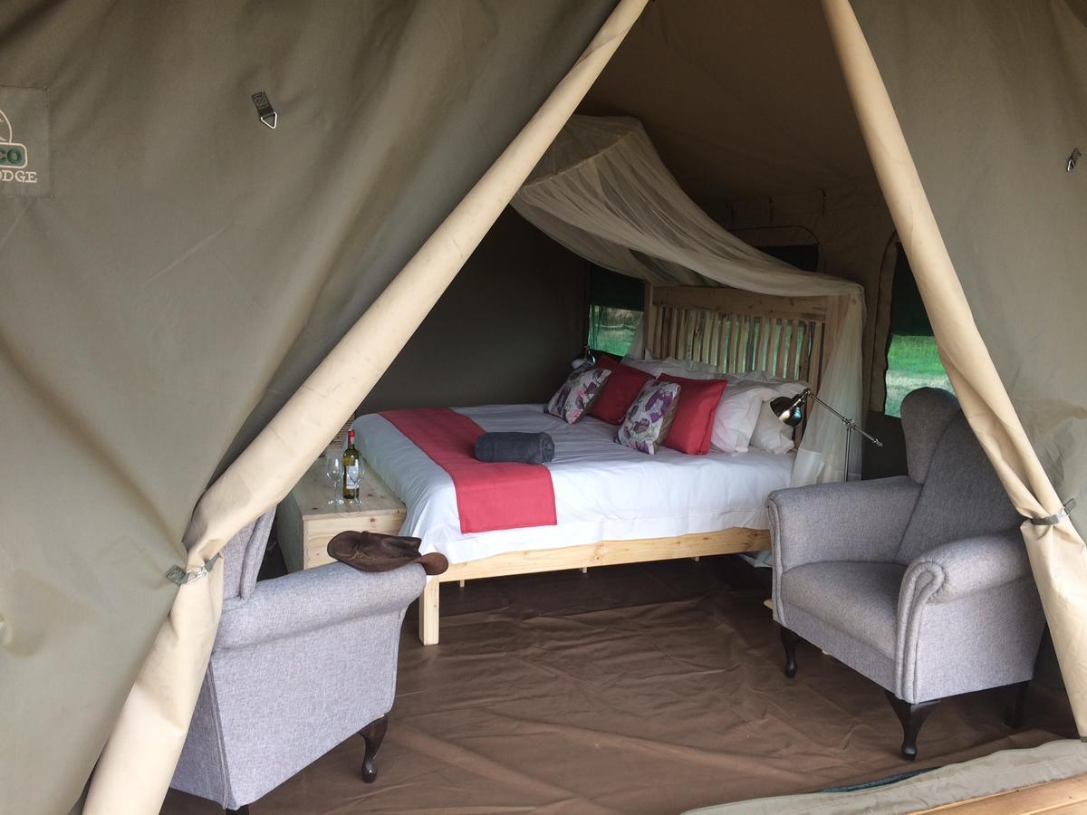 카사네 Tlouwana Camp 빌라 외부 사진